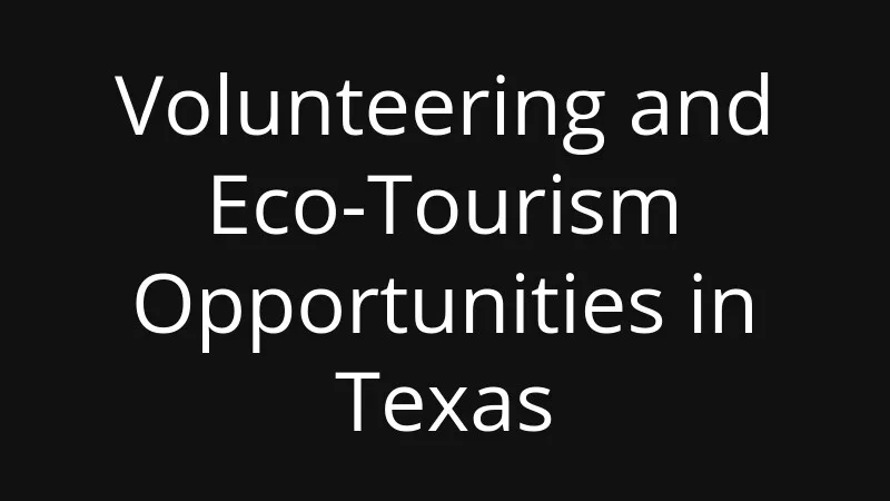 volunteering-and-eco-tourism-opportunities-in-texas
