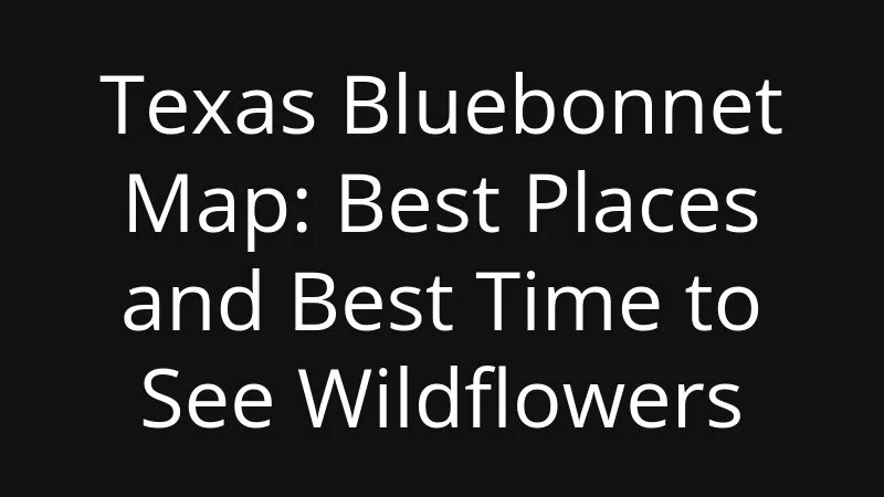 Texas Bluebonnet Map Best Places And Best Time To See Wildflowers